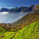 Things To Do In Munnar