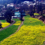 Things To Do In Dharamkot