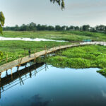 Things To Do In Majuli