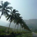Things To Do In Nelliyampathy