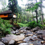 Things To Do In Vythiri